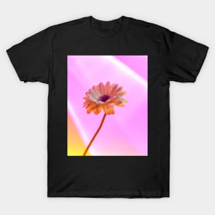 Gerbera Daisy - Electric T-Shirt